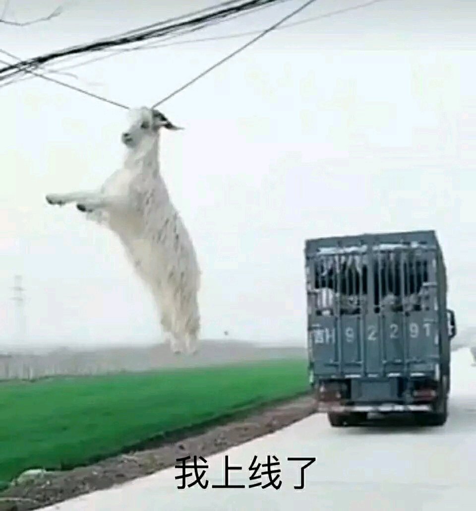 微信搞怪恶搞傻屌斗图群聊表情包