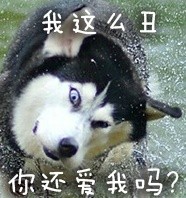 可爱搞怪的微信最新二哈带字表情包下载
