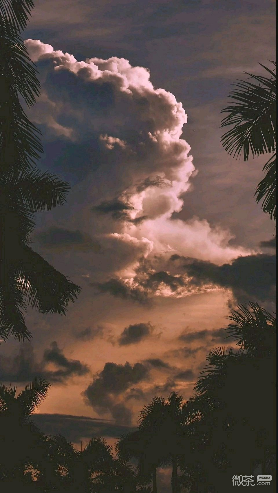 微信唯美好看意境聊天背景