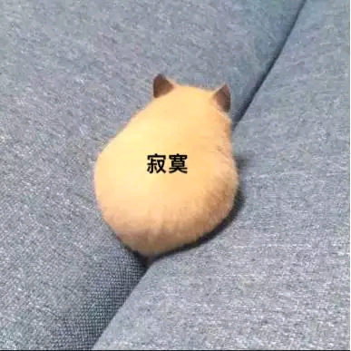 你说什么微信恶搞群聊斗图表情包