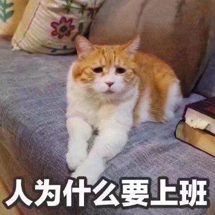 微信近期斗图恶搞表情包2019/3/12