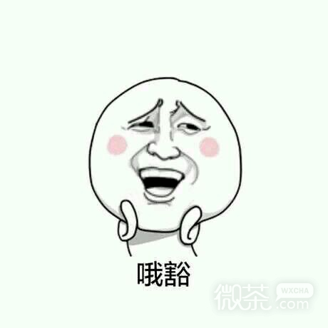 哦豁微信傻屌表情包