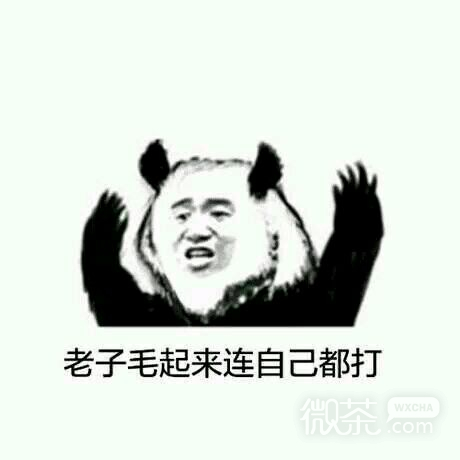 哦豁微信傻屌表情包