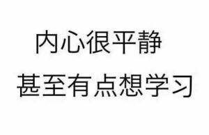 你说什么微信恶搞群聊斗图表情包