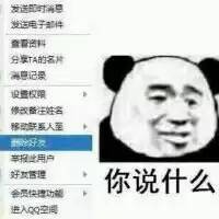 你说什么微信恶搞群聊斗图表情包