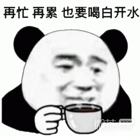 微信恶搞逗比傻屌斗图表情包