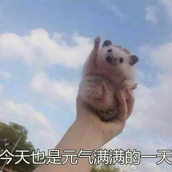 你说什么微信恶搞群聊斗图表情包