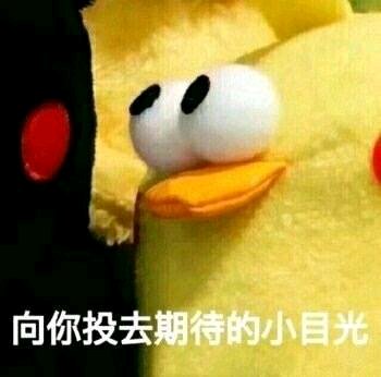 试探微信恶搞傻屌斗图表情包