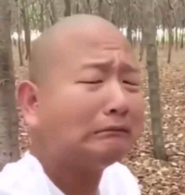 试探微信恶搞傻屌斗图表情包