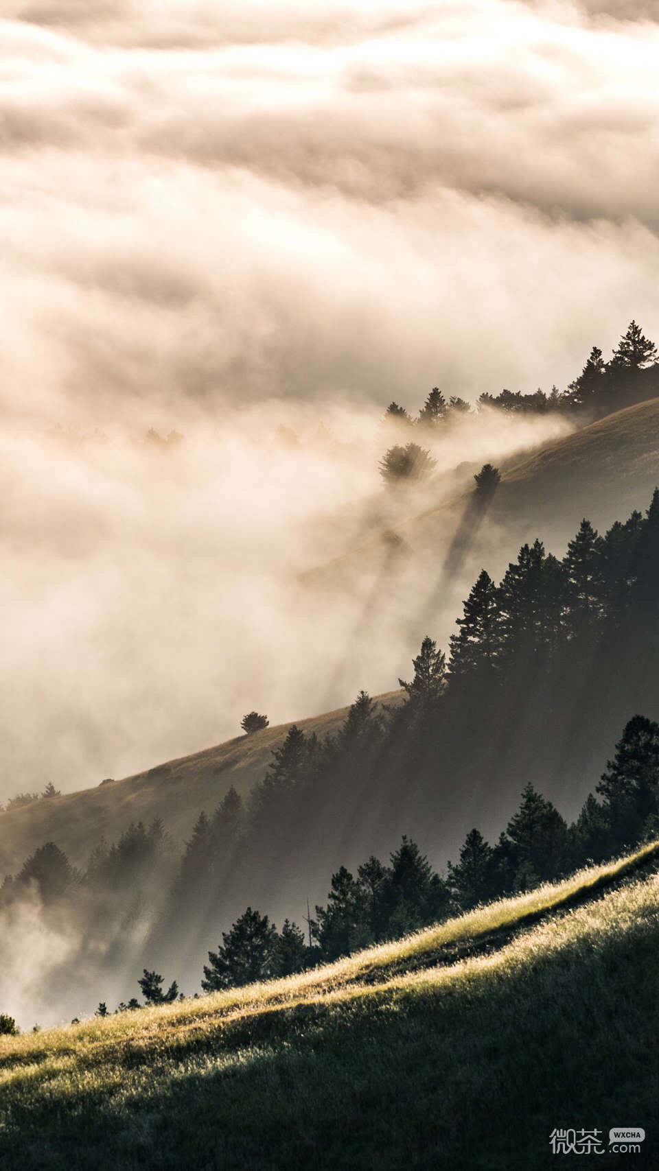 微信唯美好看梦幻风景静物聊天背景