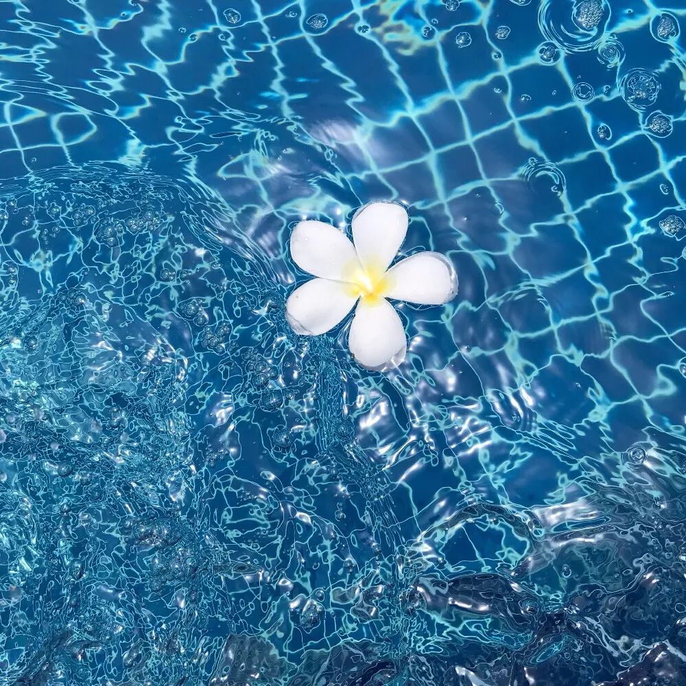 唯美风景微信图片