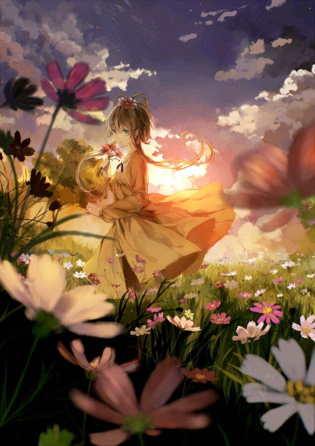 微信唯美梦幻清新二次元图片