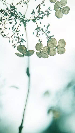 唯美风景微信图片