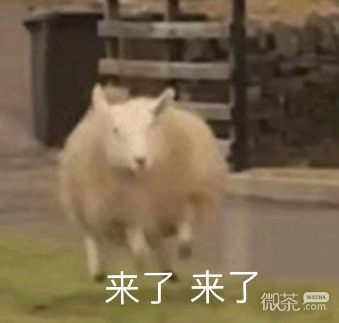 调侃微信恶搞斗图表情包