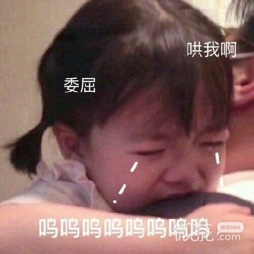 试探微信恶搞傻屌斗图表情包