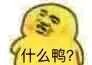试探微信恶搞傻屌斗图表情包