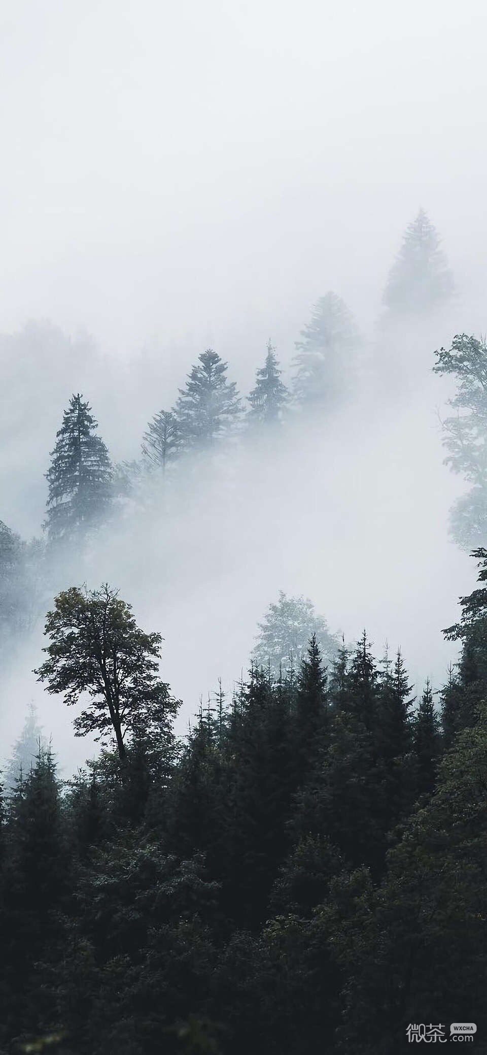 微信唯美好看梦幻风景静物聊天背景