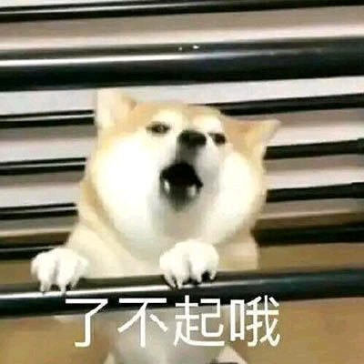 试探微信恶搞傻屌斗图表情包