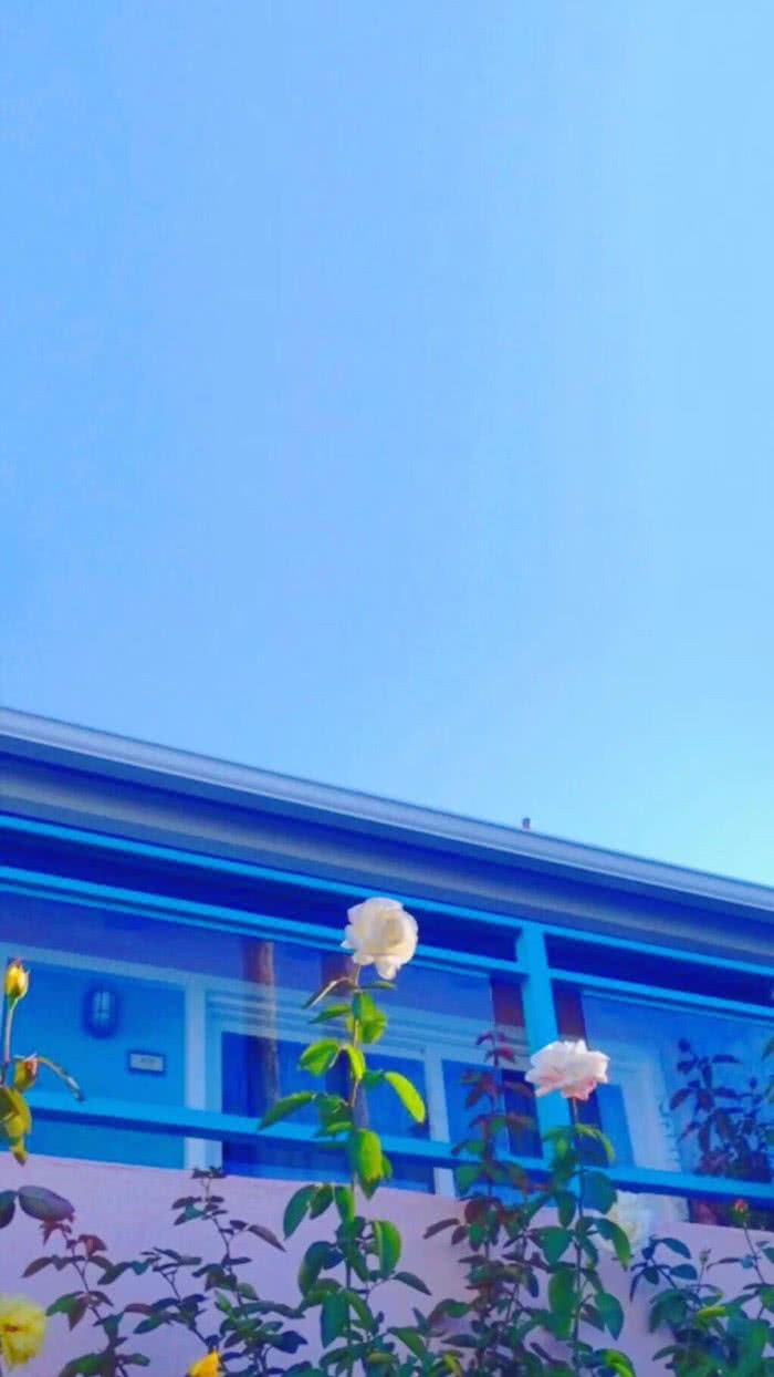 唯美风景微信图片