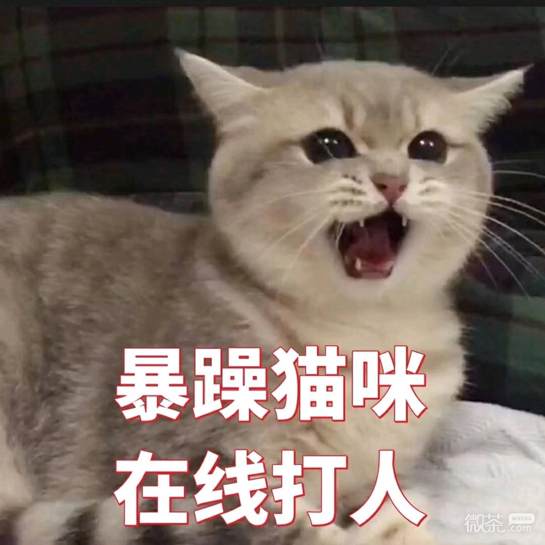 绝望微信恶搞斗图表情包