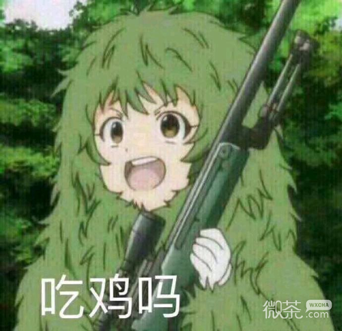 试探微信恶搞傻屌斗图表情包