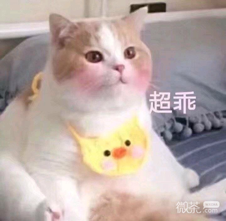 调侃微信恶搞斗图表情包