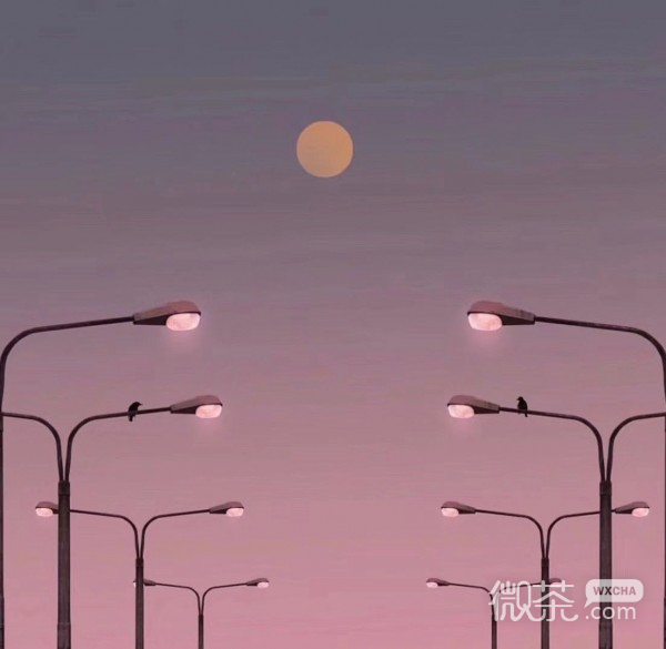 微信唯美粉嫩风景朋友配图