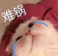 微信近期斗图恶搞表情包2019/3/13