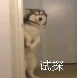 试探微信恶搞傻屌斗图表情包