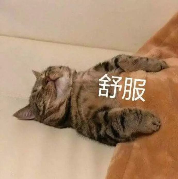 微信近期斗图恶搞表情包2019/3/13