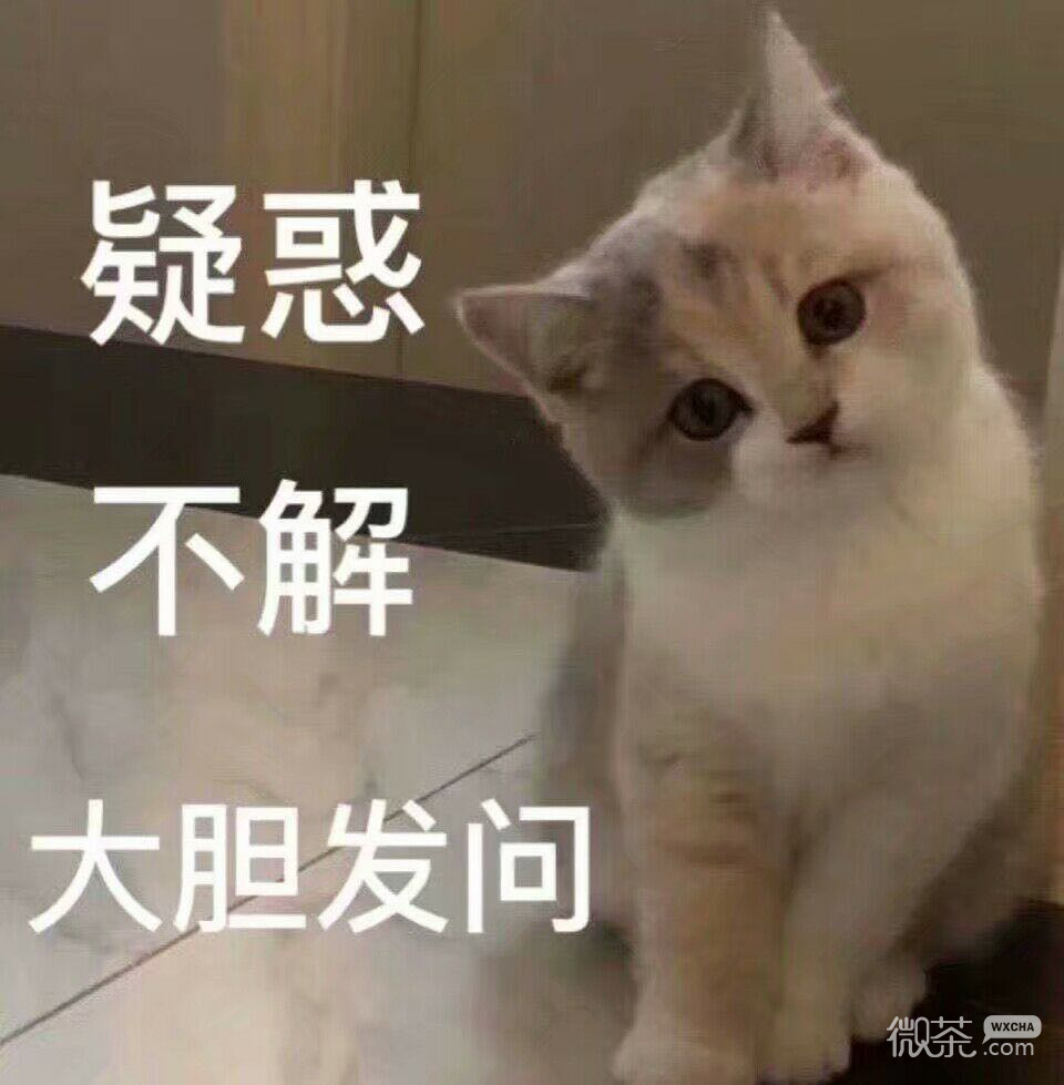 搞怪傻屌群聊斗图微信表情包