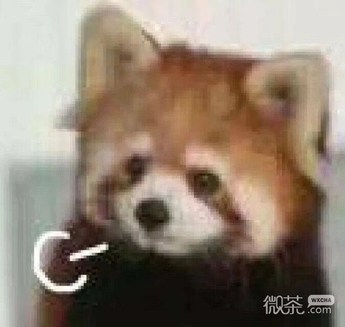 搞怪傻屌群聊斗图微信表情包