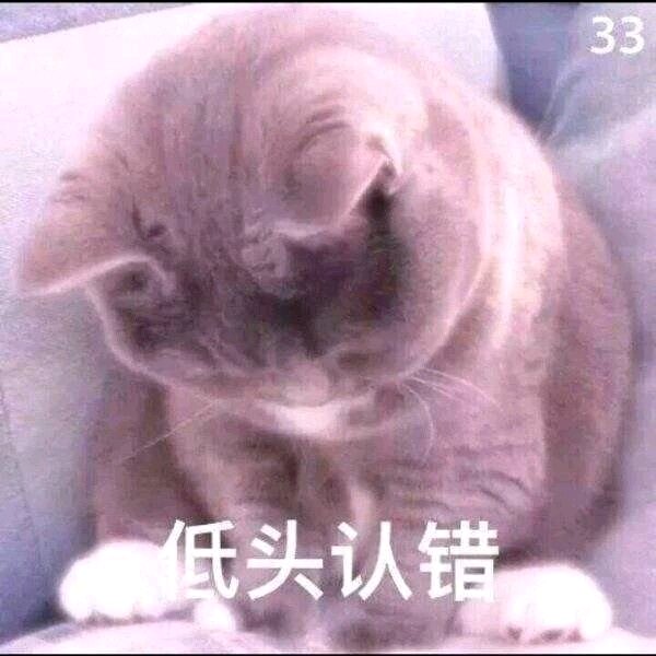 试探微信恶搞傻屌斗图表情包