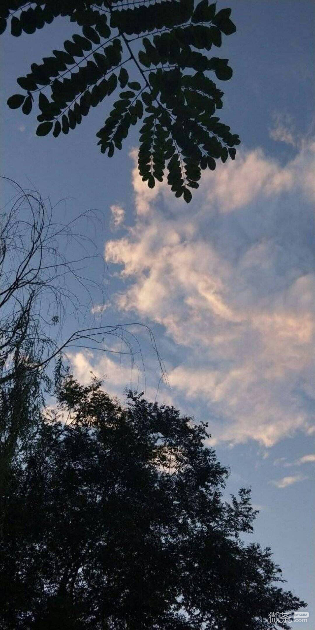 微信唯美好看梦幻风景静物聊天背景