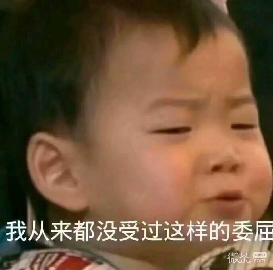 搞怪傻屌群聊斗图微信表情包