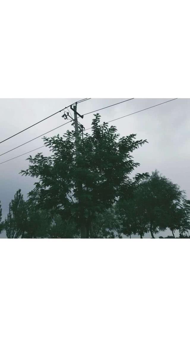 唯美风景微信图片