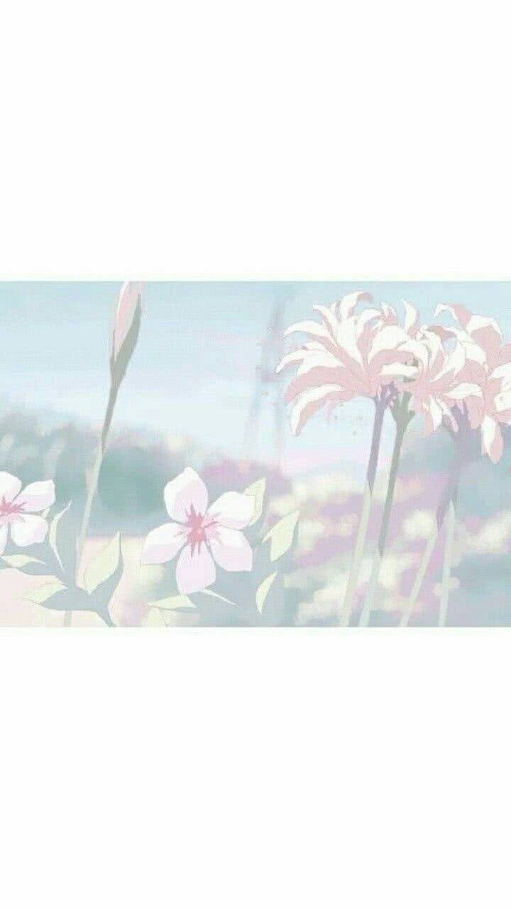 唯美风景微信图片