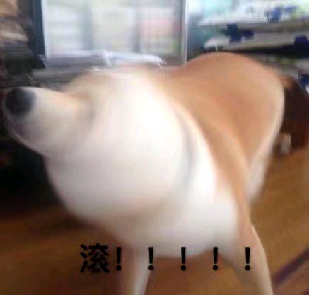 试探微信恶搞傻屌斗图表情包