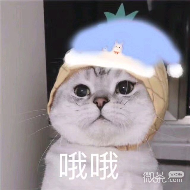 绝望微信恶搞斗图表情包