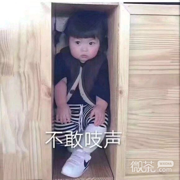 失去意识微信恶搞傻屌斗图表情包