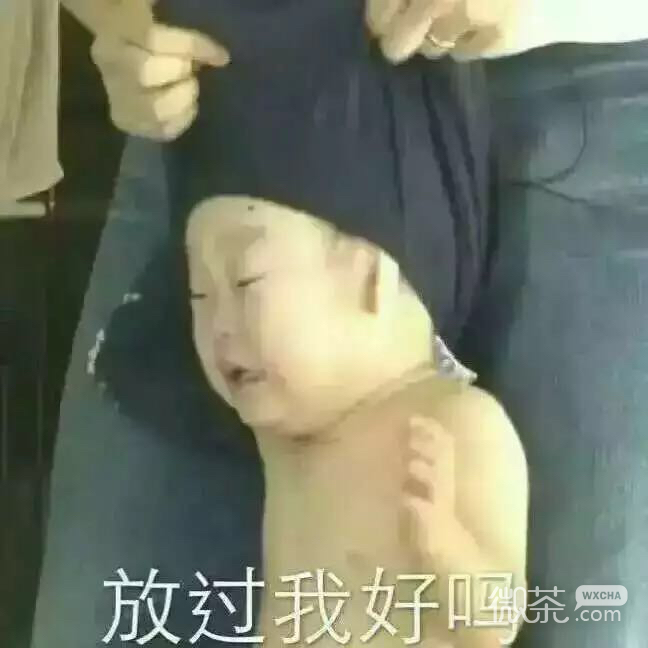 微信聊天斗图表情包