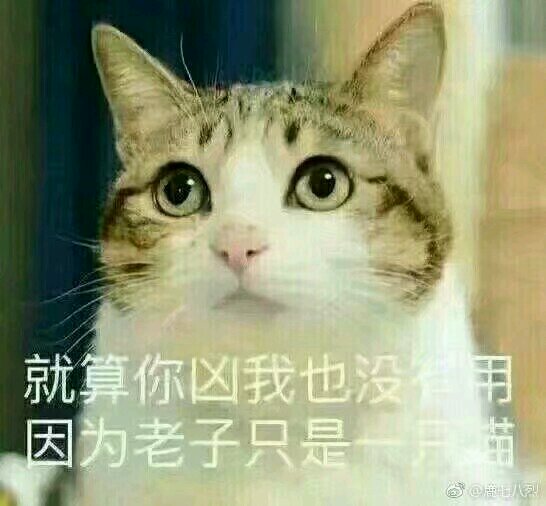 微信爆笑套系恶搞斗图表情包