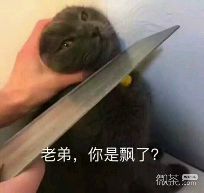 微信搞怪滑稽喵星人斗图表情包