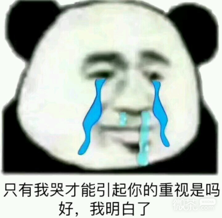 你个肤浅小人微信恶搞斗图表情包