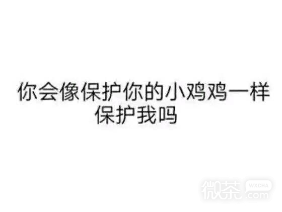 微信聊天斗图表情包