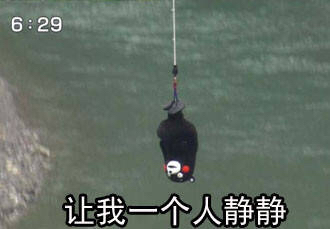 微信聊天斗图表情包