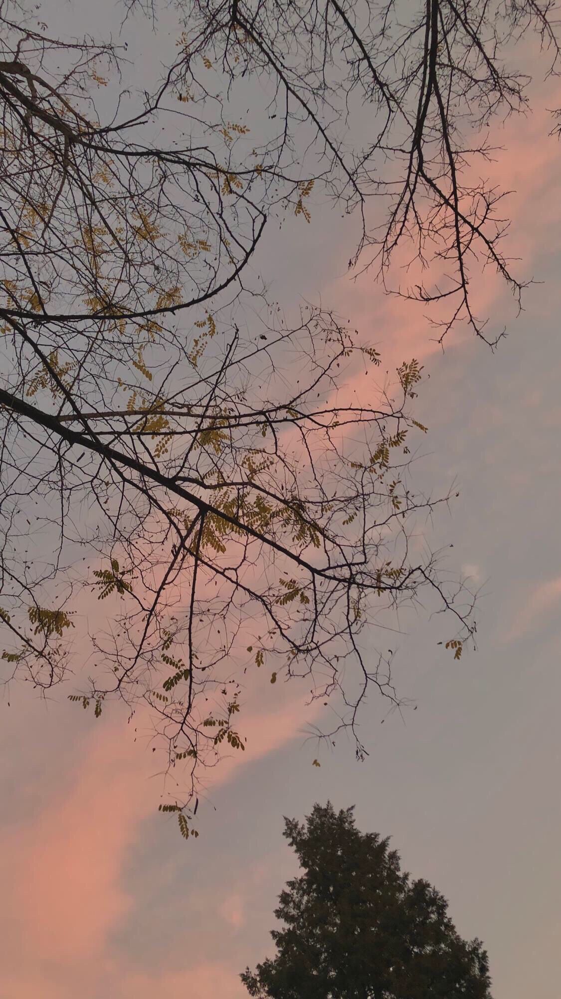 微信文艺好看聊天背景