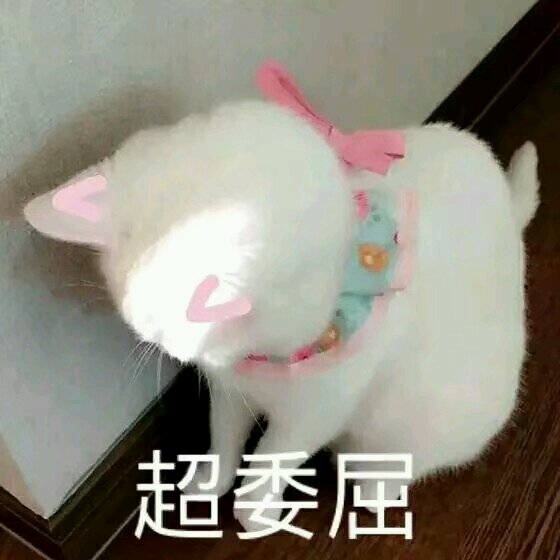 微信爆笑套系恶搞斗图表情包