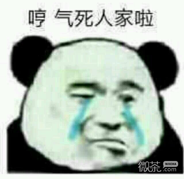 微信恶搞傻屌撕逼套系表情包