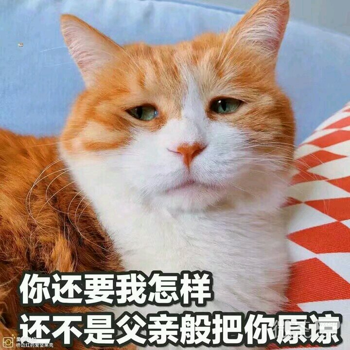 微信搞怪滑稽喵星人斗图表情包
